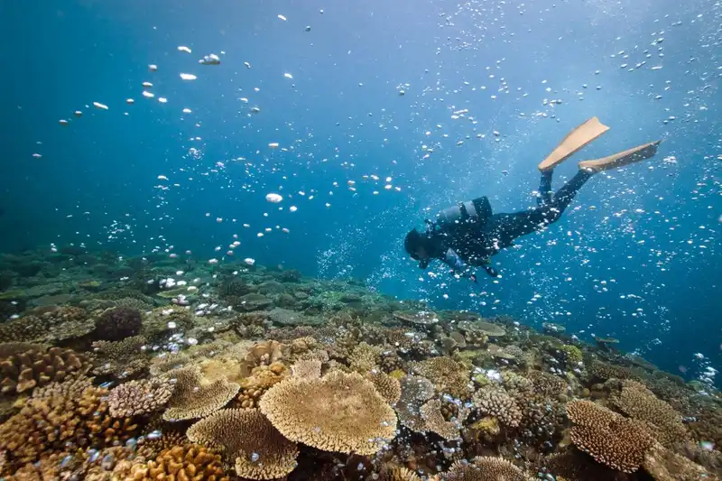 gamabr-dorong-pad-pariwisata-bahari-bpkad-karangasem-perluas-pengawasan-usaha-diving